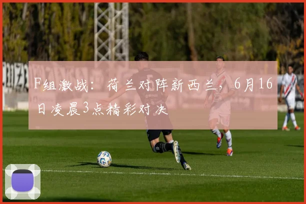 F组激战：荷兰对阵新西兰，6月16日凌晨3点精彩对决